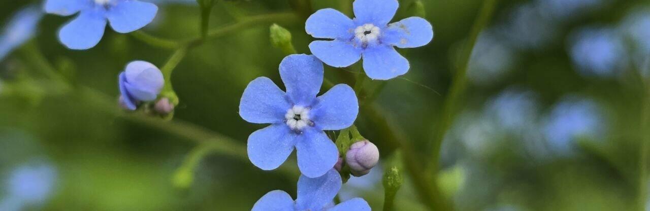  ������� ������ ������ ������������ ������� ���� 