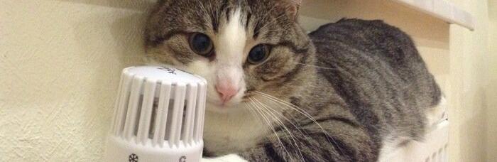 ����: 057.ua