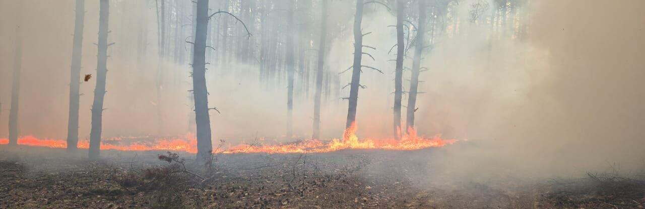  �������� ���������� ����� ��������� 