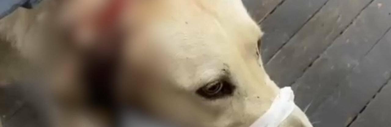  ����� ����� �������������� ������ ����� ���� ������� ������ 