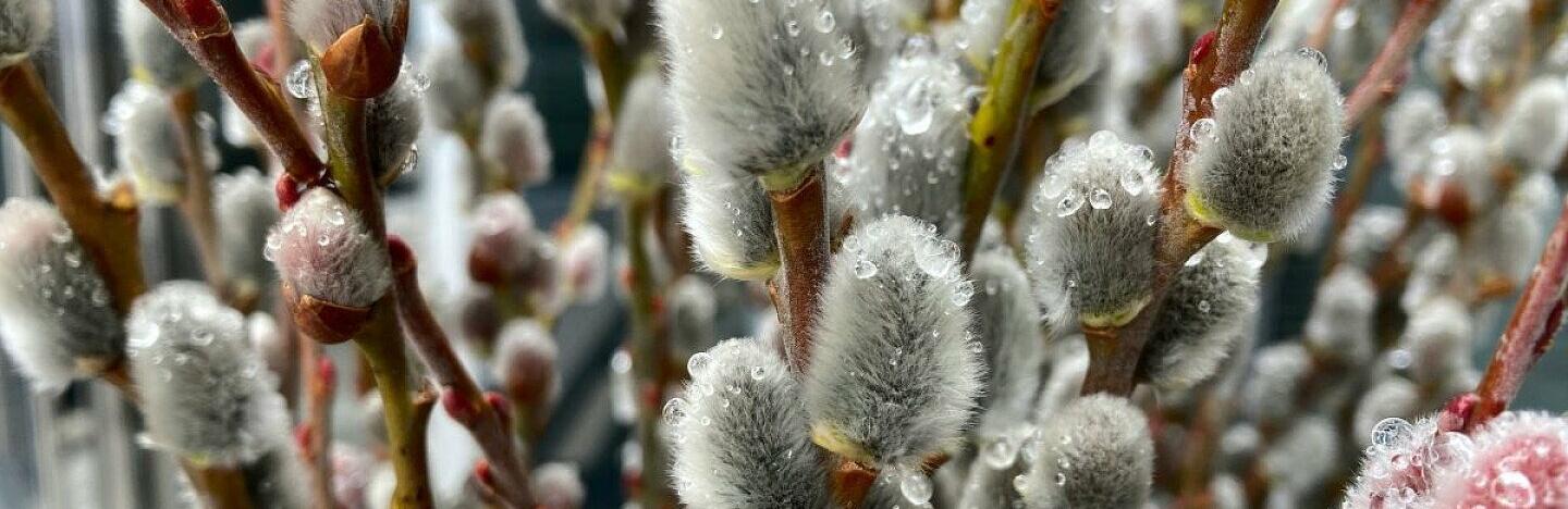 ����: 057.ua