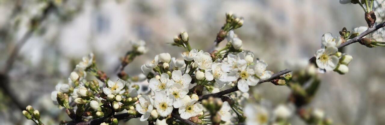 ����: 057.ua