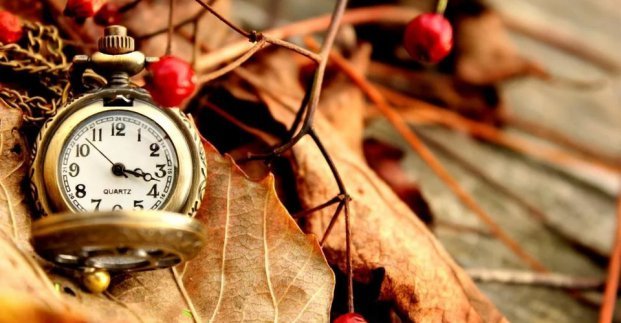  ������ ������� ������� ��� 