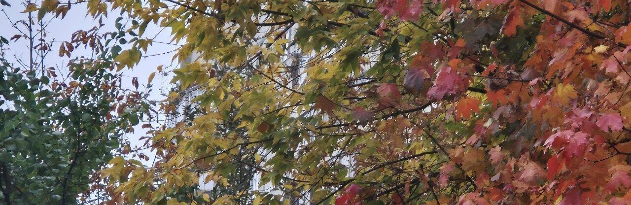  �������� ������� �������� ������� ������ ������� ����� 