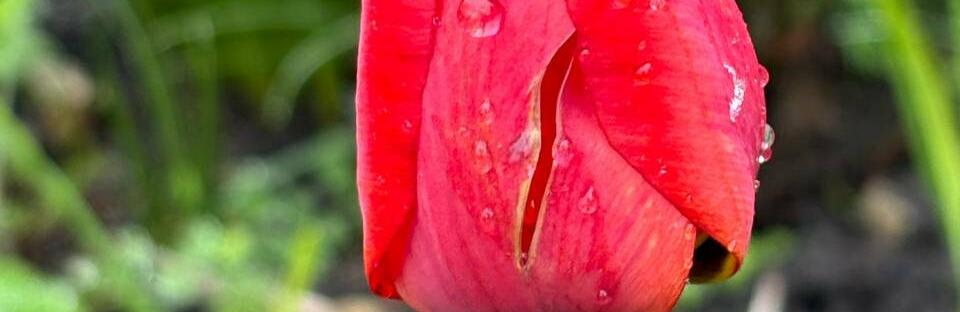 ����: 057.ua