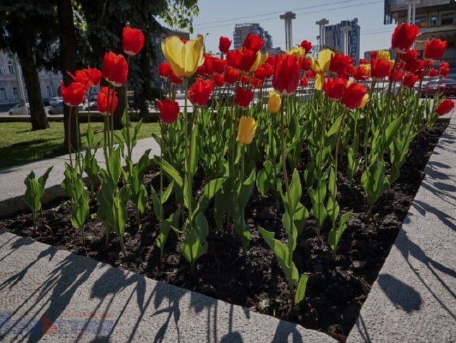  ������ ������ �������� ������ ���� 