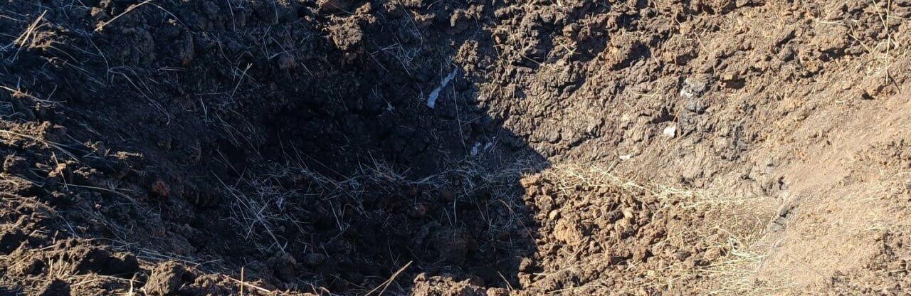  ������ ���� ����� ������ �������� �������� 