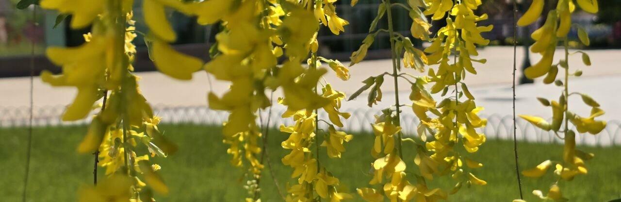  ������� ������ ������ ��� ����� 