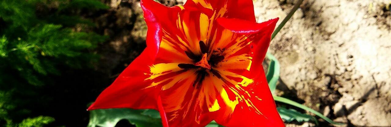  ������ ������ �������� ���� ������ 