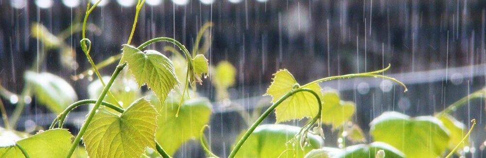  ������� ������ ������ ��������� ��� 