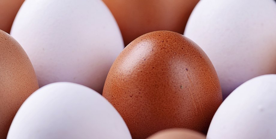  ������ �������� ���� ����������� ��������� ������������� ������ ������� 