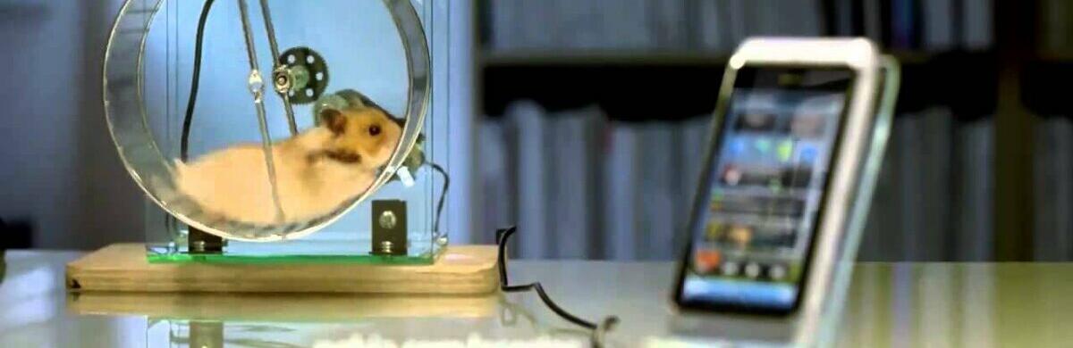  �������� ���������� ������ ���� ������ ��������� 