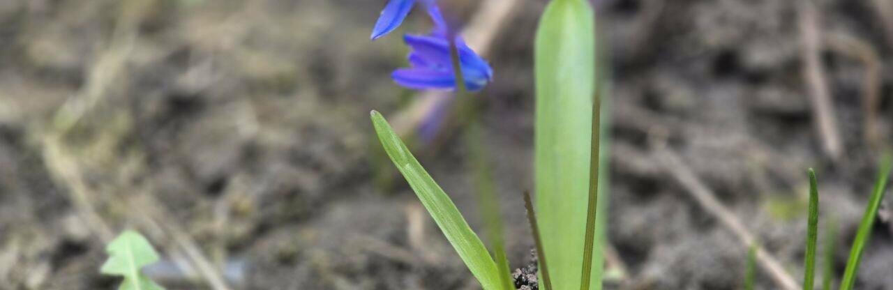 ����: 057.ua