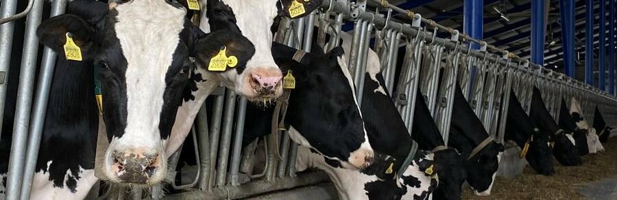  ��������� ������������ ���� ����� ���� 