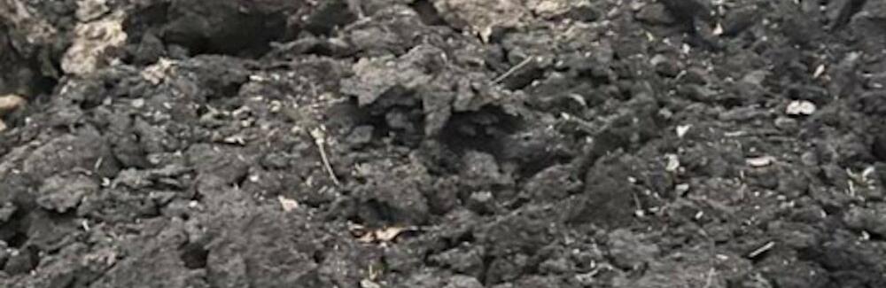 ����: 057.ua