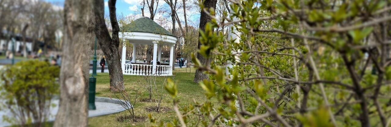  ������� ������ ����� ����������� 