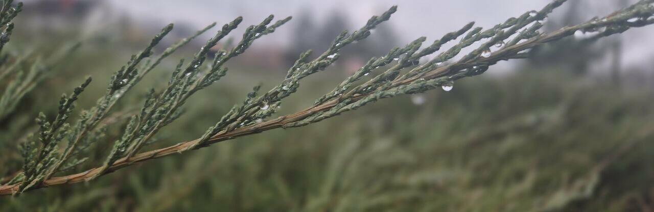  ������� ������ ������ ������ ���� ��������� 