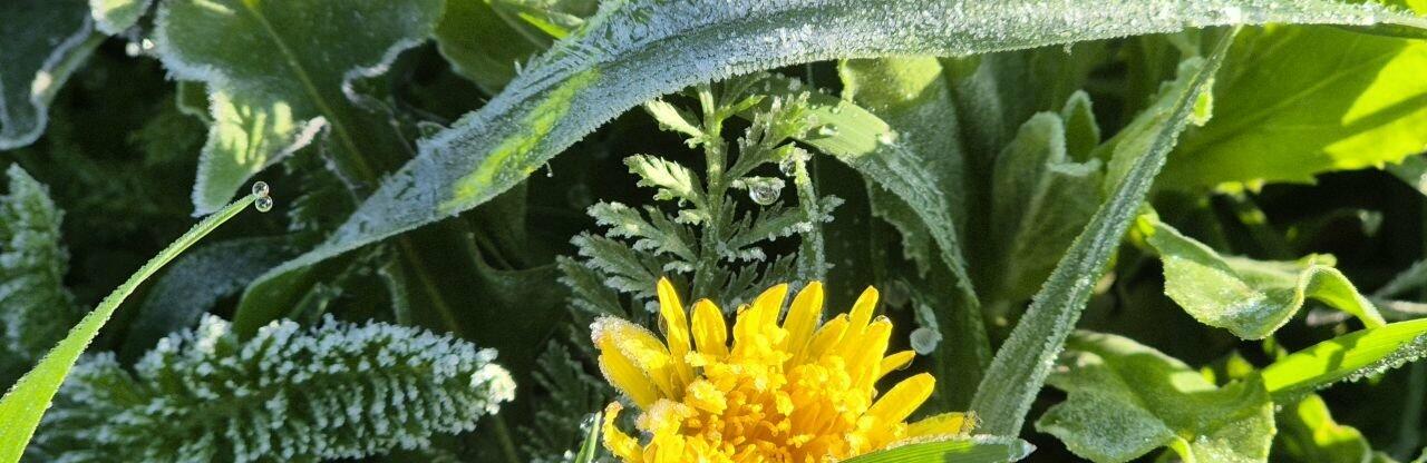 ����: 057.ua