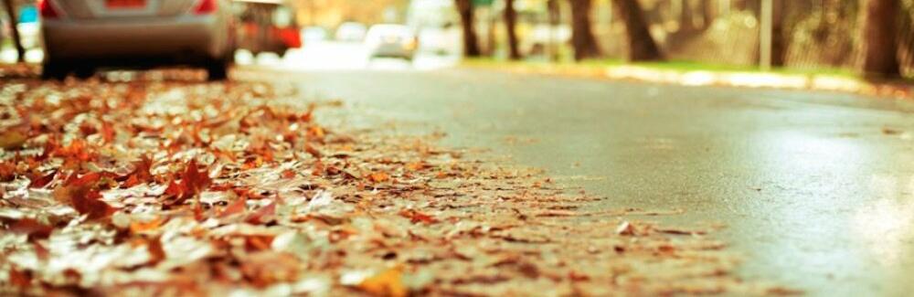  ������� ������ ����� ����� 