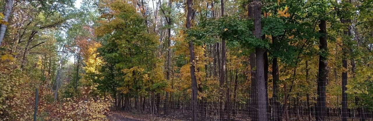  ������� ������ ���������� ����������� 