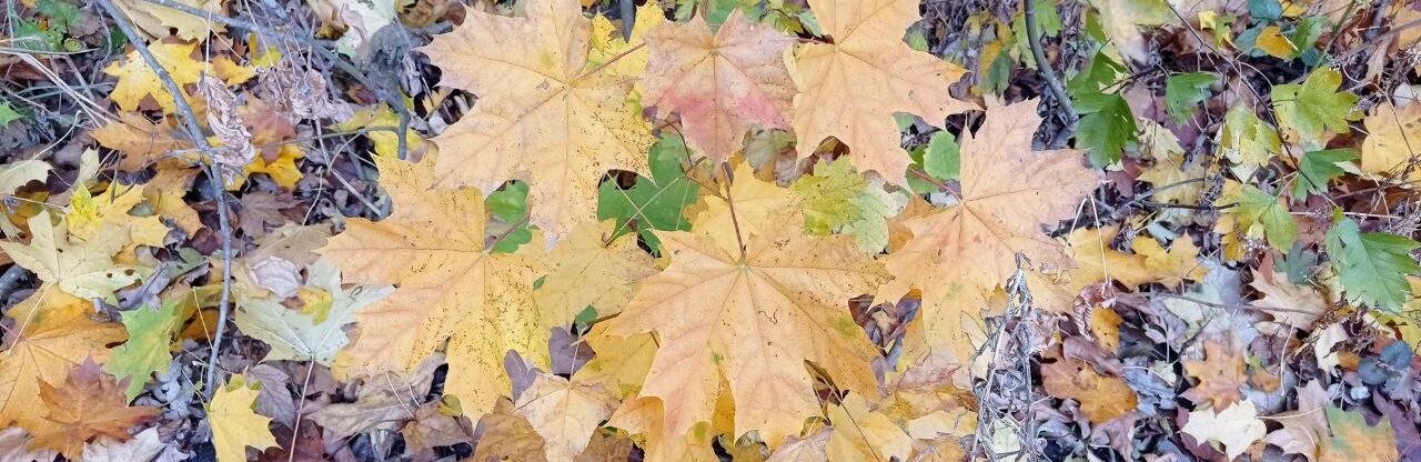  ������� ������ ������ ������ ���������� 