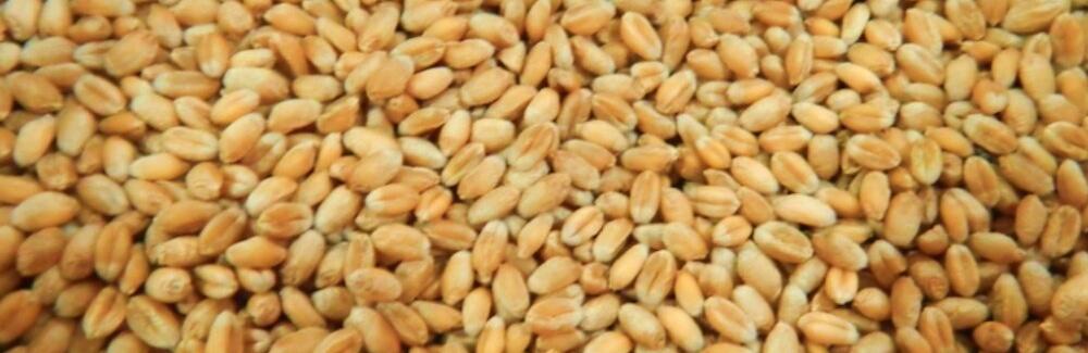  �������� ��������� ��������� ������� ������ ��� ������ ������� 