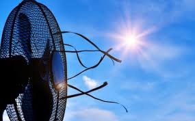  ������� ������ ����� ����������� 