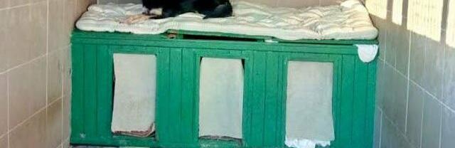 ����: 057.ua