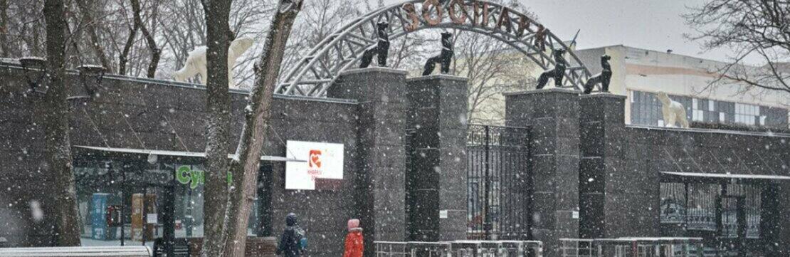  ����������� ���������� ������� �������� ����� ������ 