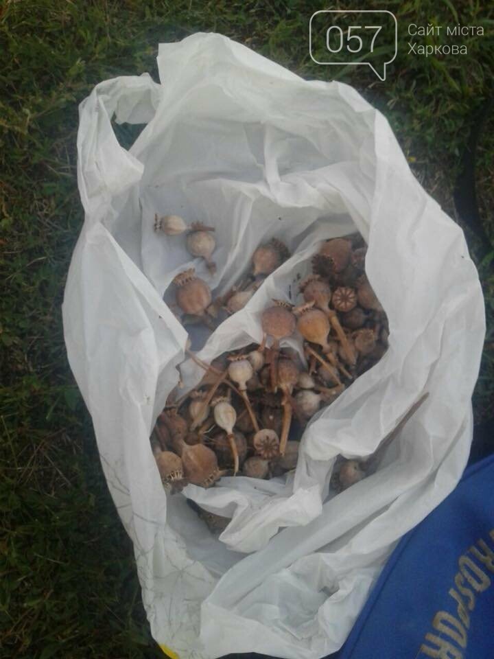  ����������� ������� ��������� ������� ����������� ���� 