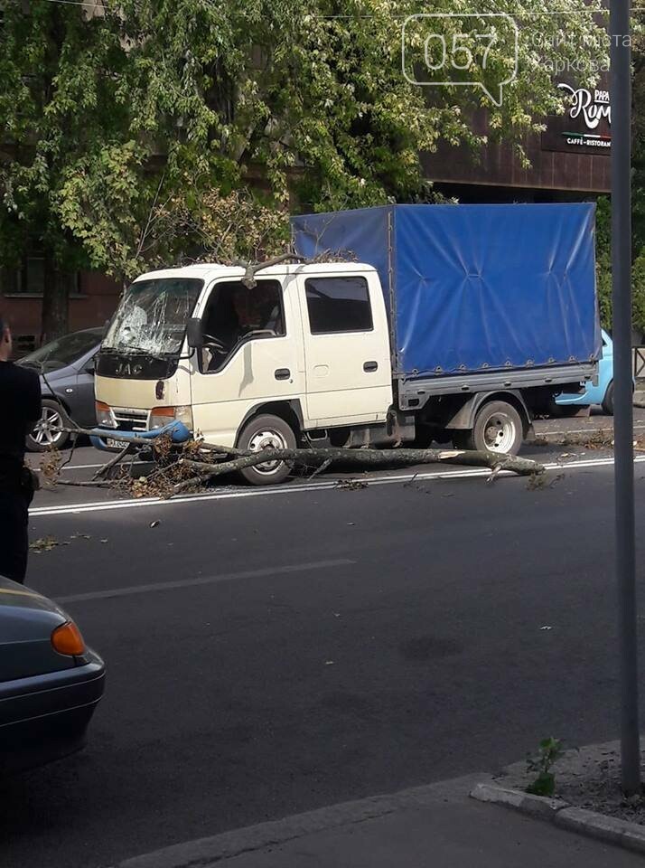  ���������� ������ ������� ������ ������ ���� 