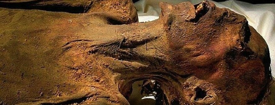  ���������� ������� ����� ���������������� ���� ������������ 