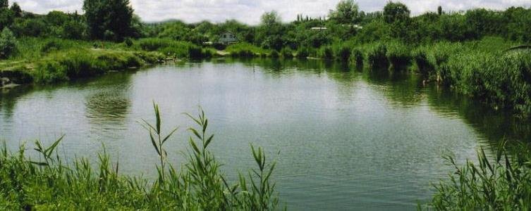  �������� ������� ������ ����������� ���������� �������� �������� 