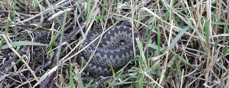  ��������� ����� ���������� ������������ ����� ���� 