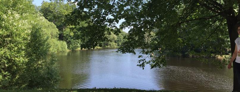  �������� ���������� ����������� ���� ������ �������� 