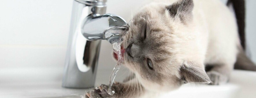  ����� ������� �������� ���� 