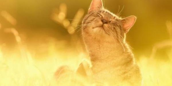  ������ �������� ������� ��������� ����� 