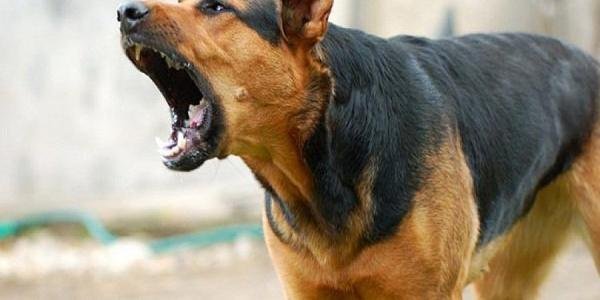 ����: 057.ua