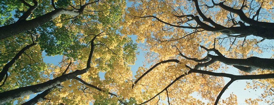  ��������� ���������� ����� ������ �������� 