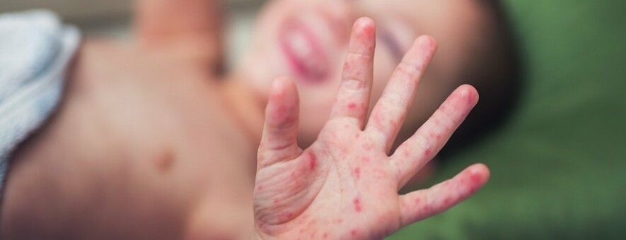  ���� �������� �������� �������� 