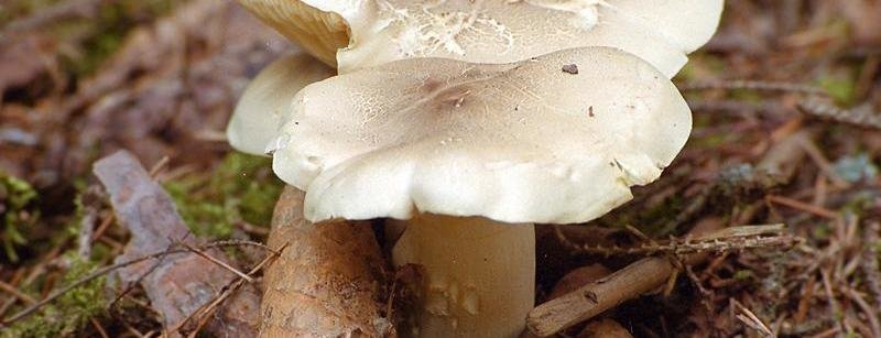  �������� ����� �������� ��������� ���������� 