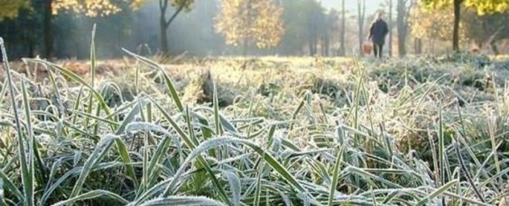  ������ �������� ����������� ������� ��������� ��������� ��� 