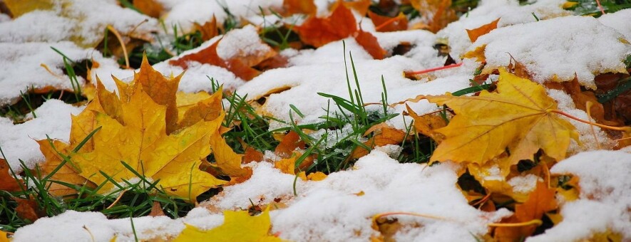  ��������� ���������� �������� ������ ���� 