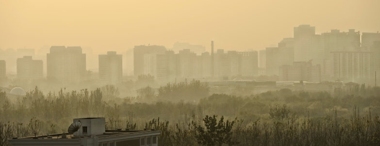  �������� ���������� �������� ����� ������� ������ 