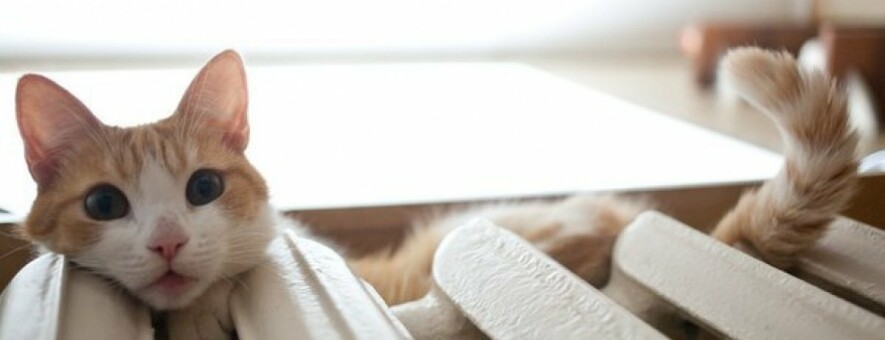 ����: 057.ua