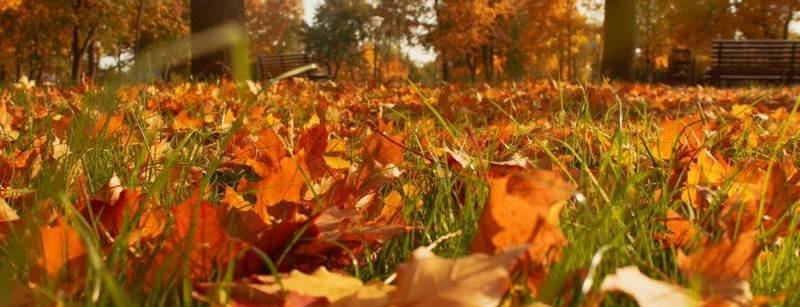  ������ �������� �������� ���������� ��������� ��� 