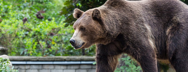  ��������� ������� ����� ������� ������������ ���������� 