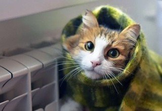  �������� ��������� ��������� 107 ����� ����� 