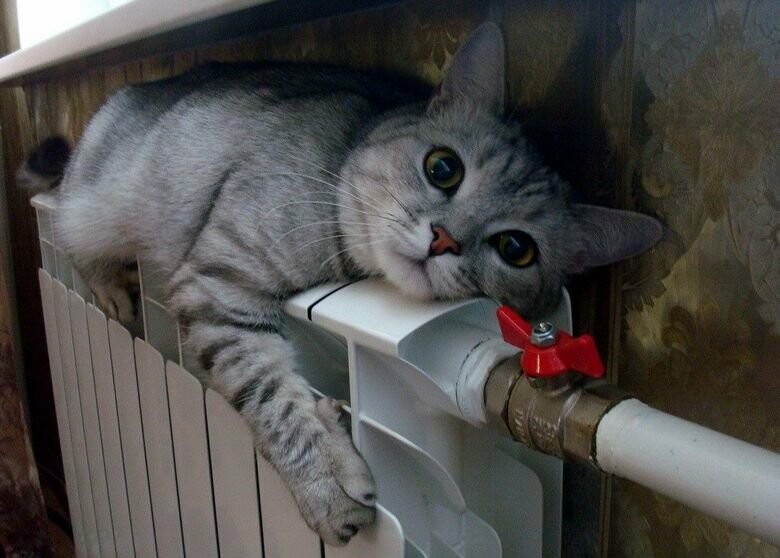  �������� ������ ����������� ����� ������ ��������� ������� ���� 