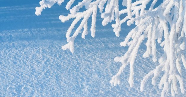  �������� �������� ������������ ������� 